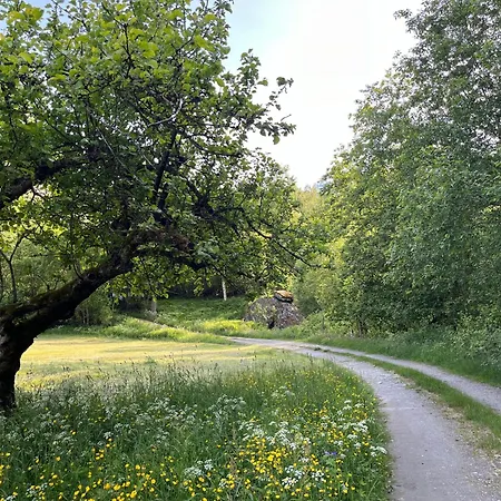 Nygard Panorama Lodge Stryn